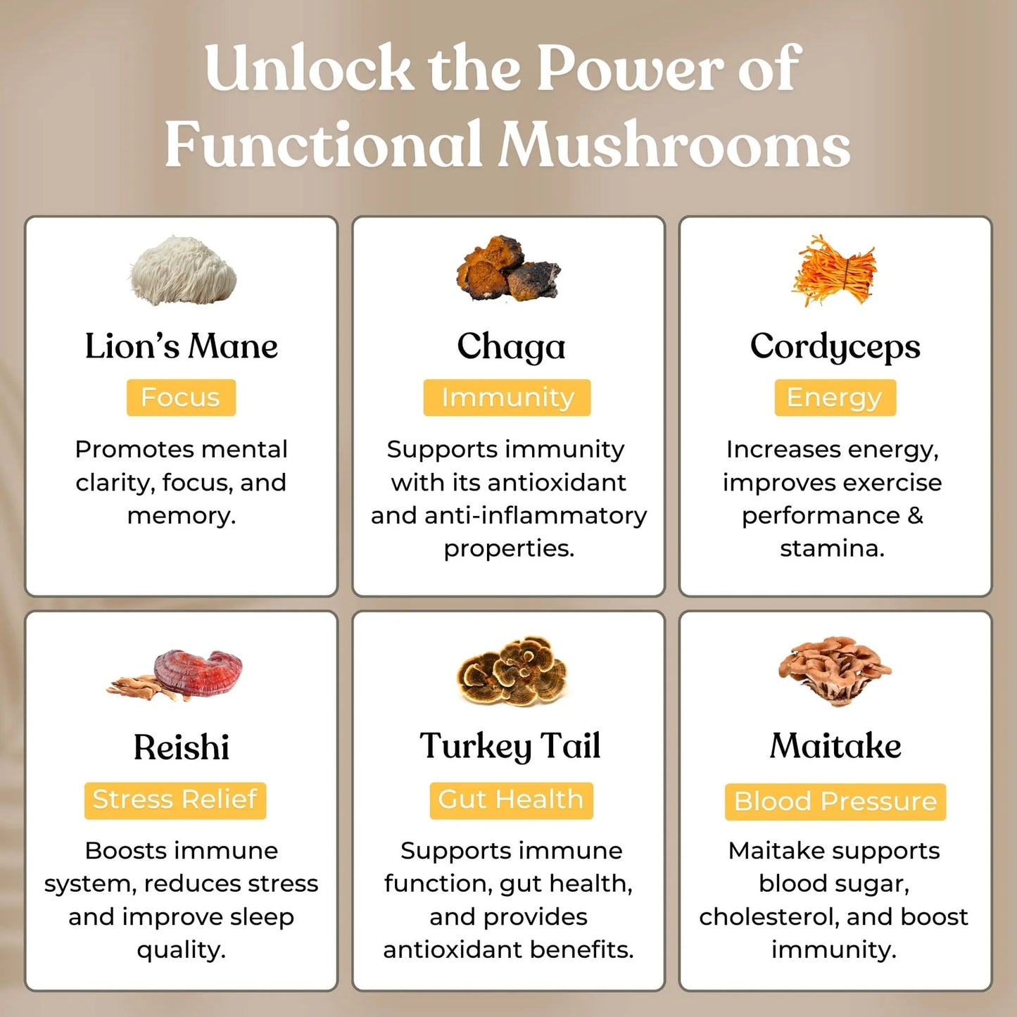 10 IN-1 MUSHROOM GUMMIES